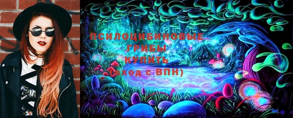 СК Беломорск