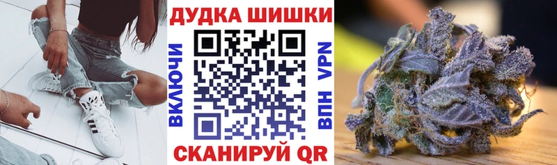 Конопля гибрид купить наркоту Можга